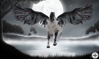 Bitte hier klicken um das Bild '10_Pegasus2.jpg' in einer greren Darstellung zu ffnen...